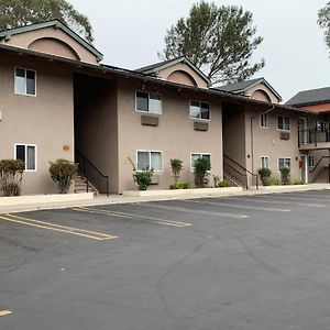 Olive Tree Inn & Suites